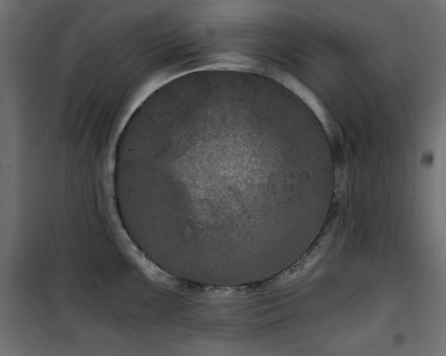 X0000101431099200807141235