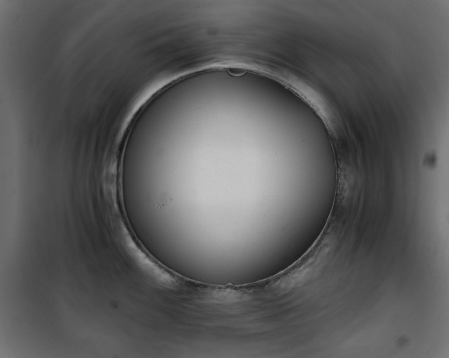 X0000101431100200807141235