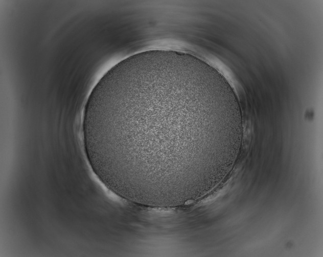 X0000101431103200807141235