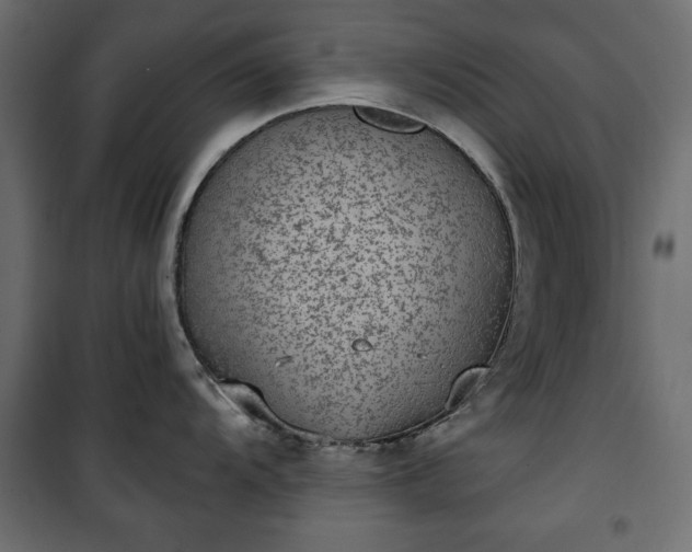 X0000101431104200807141235