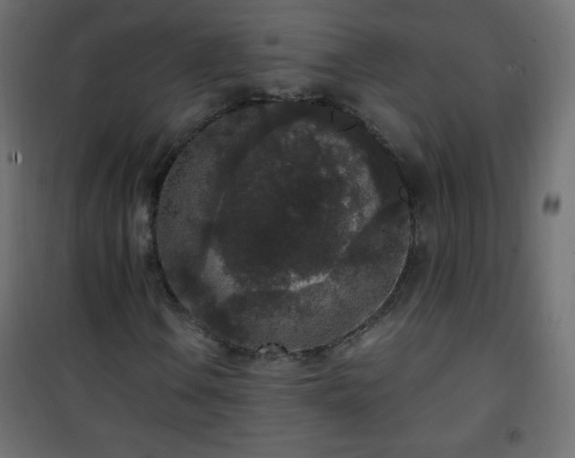X0000101431106200807141235