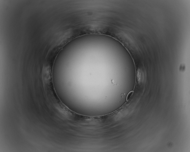 X0000101431107200807141235