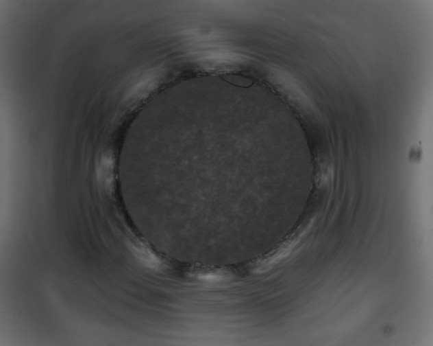 X0000101431108200807141235