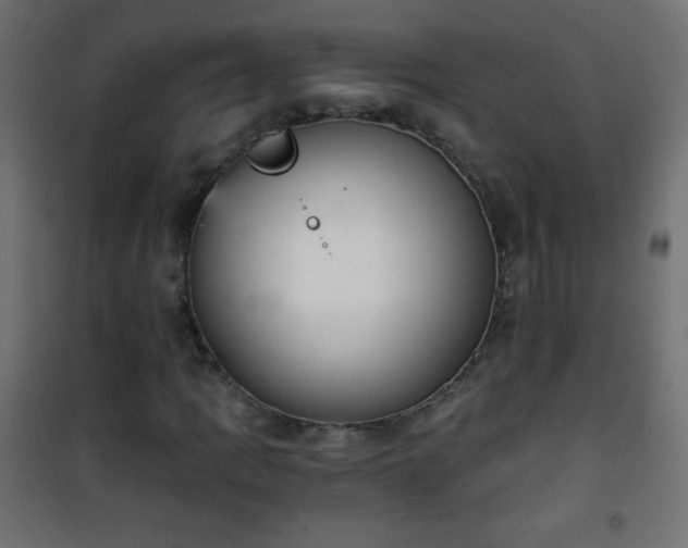 X0000101431109200807141235