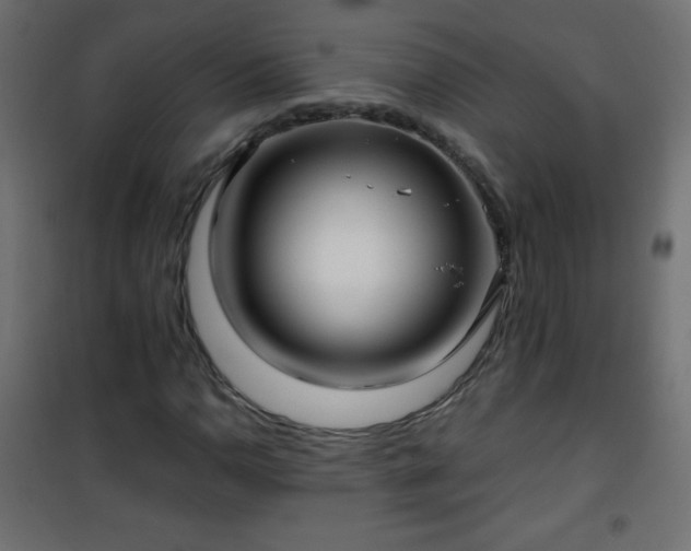 X0000101431110200807141235