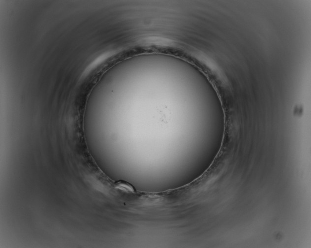 X0000101431112200807141235