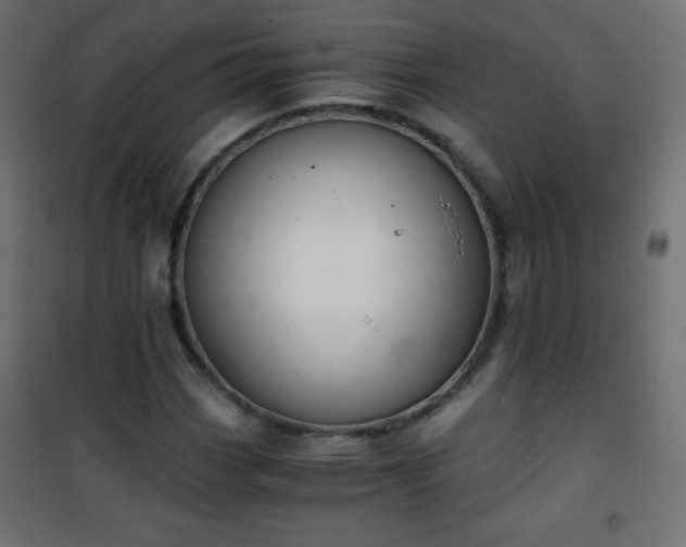 X0000101431113200807141235