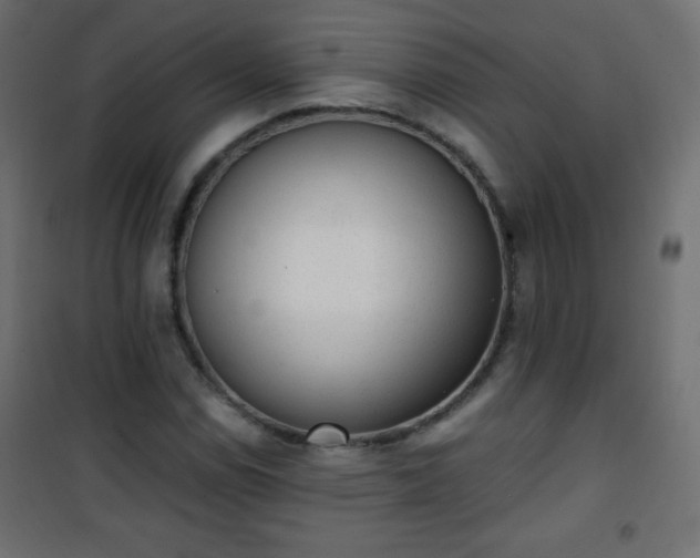 X0000101431114200807141235