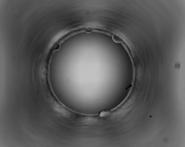 X0000101431115200807141235