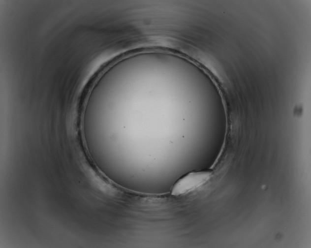 X0000101431116200807141235