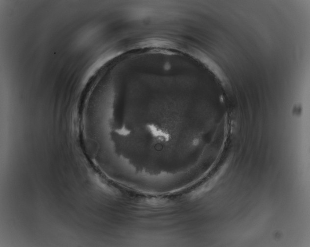 X0000101431117200807141235