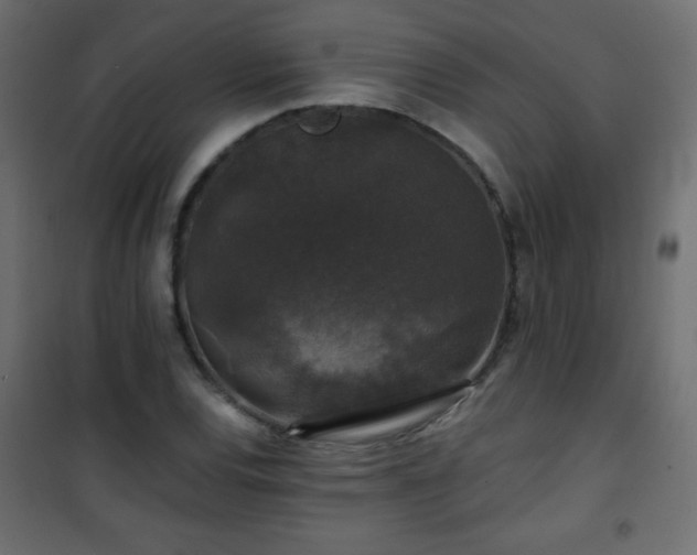 X0000101431120200807141235