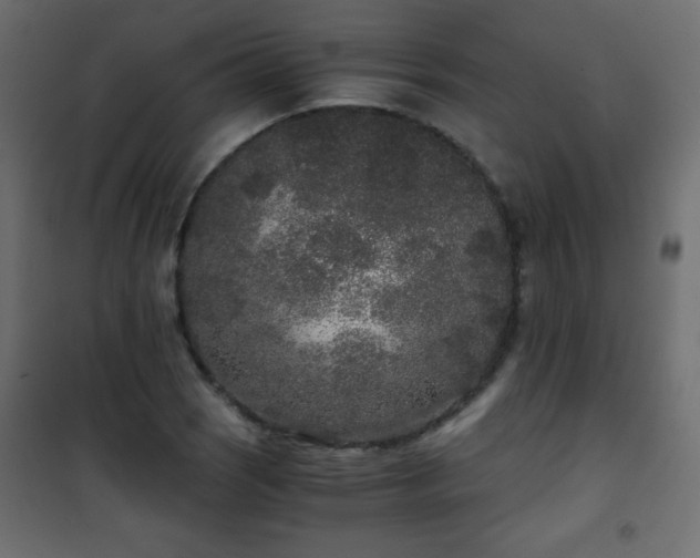 X0000101431121200807141235