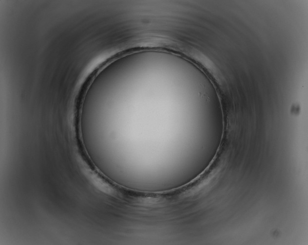 X0000101431122200807141235