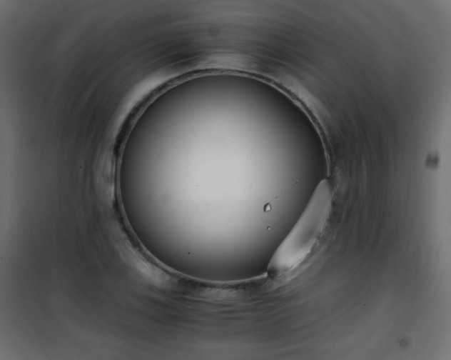 X0000101431123200807141235