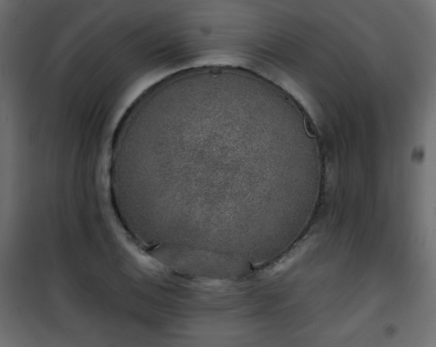 X0000101431124200807141235