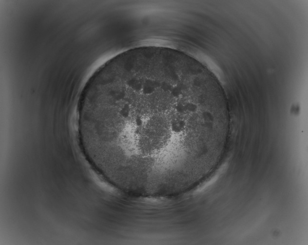 X0000101431125200807141235