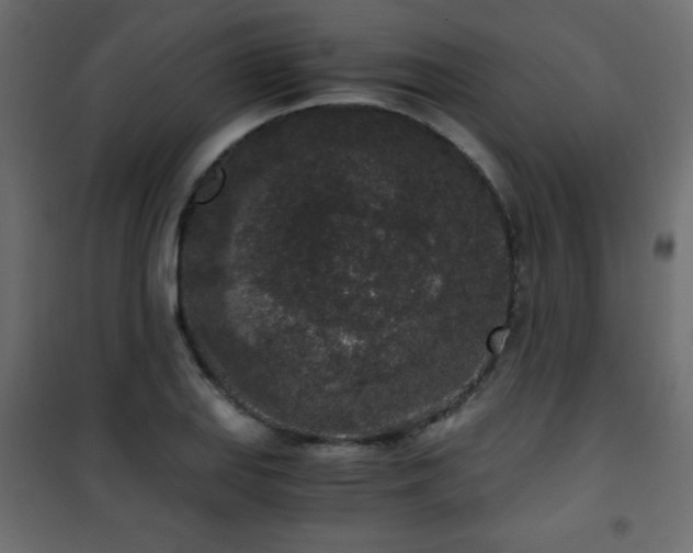 X0000101431127200807141235