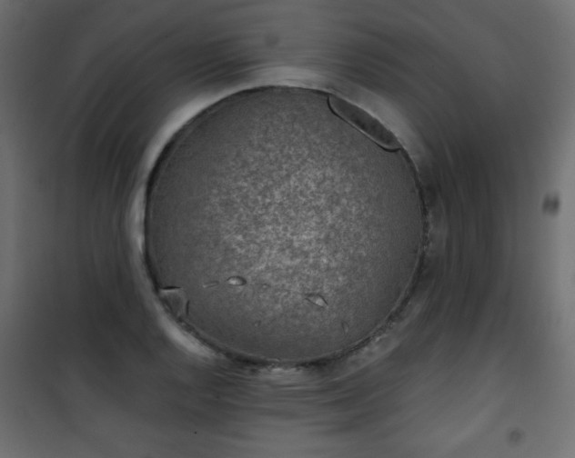X0000101431128200807141235