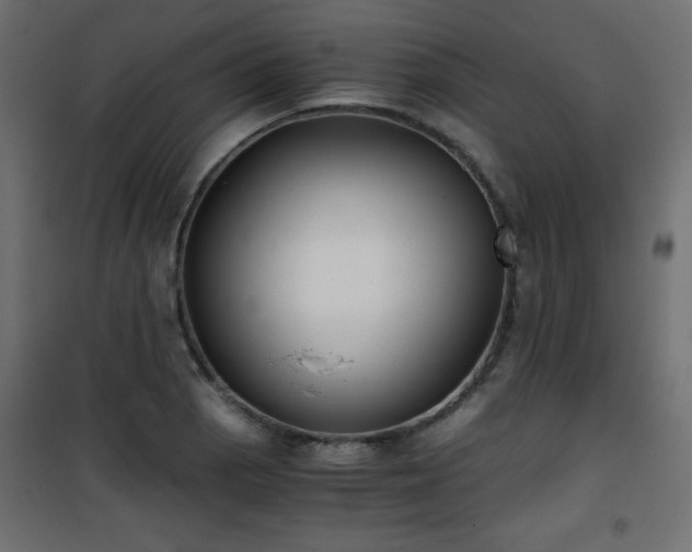 X0000101431129200807141235