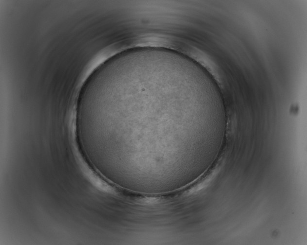 X0000101431130200807141235
