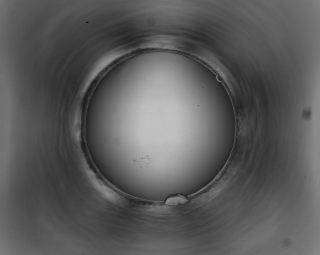 X0000101431131200807141235