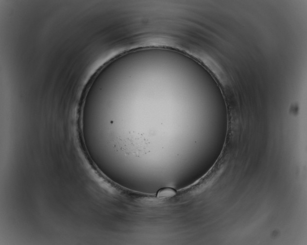 X0000101431134200807141235