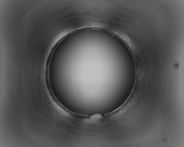 X0000101431135200807141235