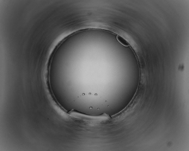 X0000101431136200807141235