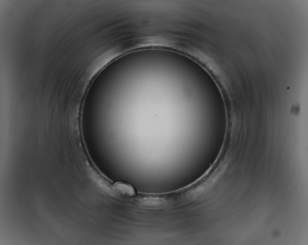 X0000101431137200807141235
