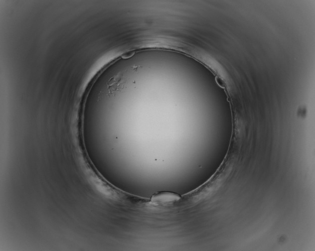 X0000101431138200807141235