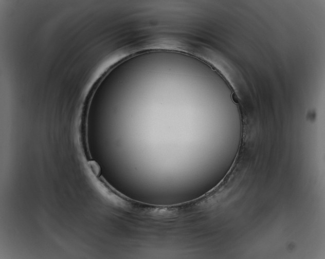 X0000101431139200807141235