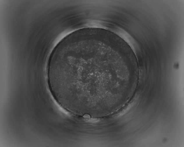 X0000101431141200807141235