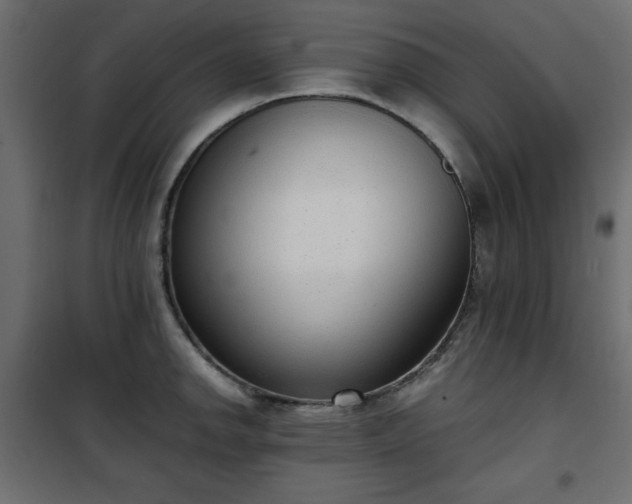 X0000101431142200807141235