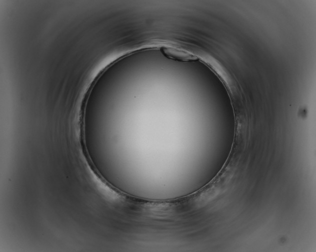 X0000101431143200807141235