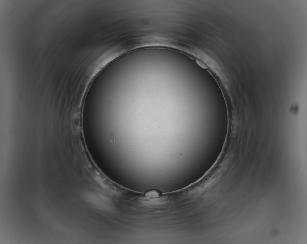X0000101431145200807141235