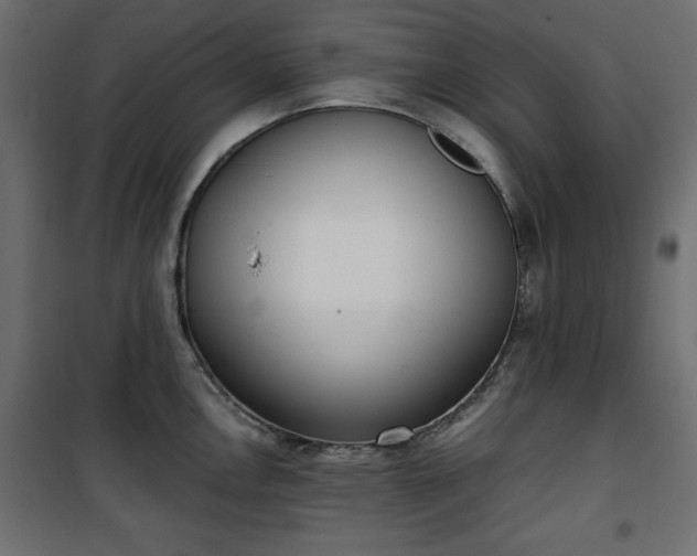 X0000101431146200807141235