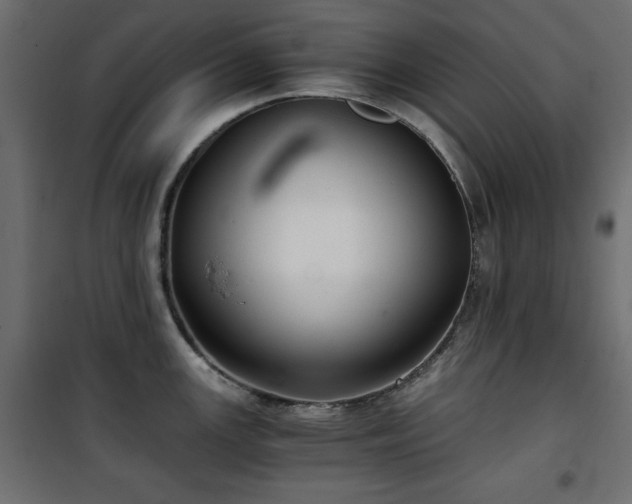 X0000101431147200807141235