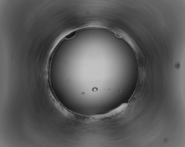 X0000101431148200807141235