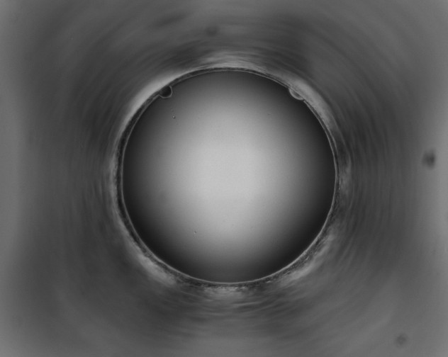 X0000101431149200807141235