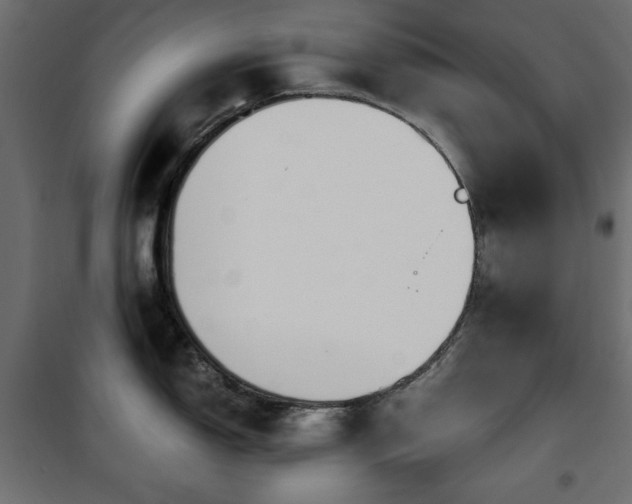 X0000101431150200807141235