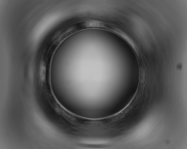 X0000101431151200807141235