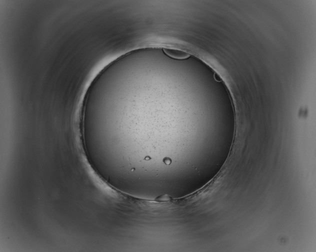X0000101431152200807141235
