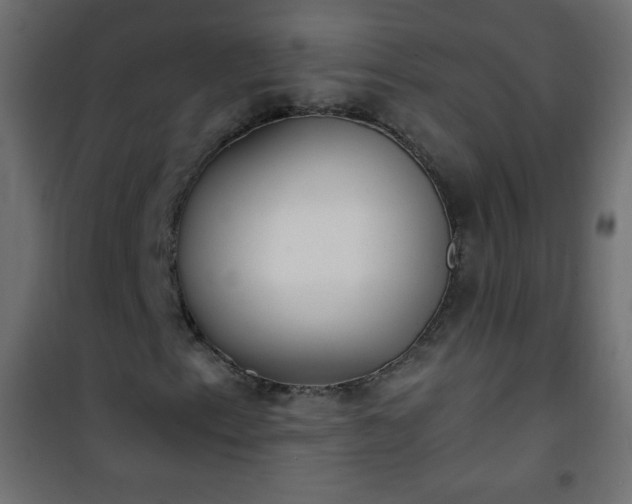 X0000101431153200807141235