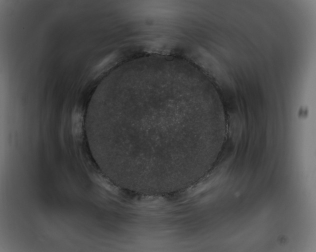 X0000101431154200807141235