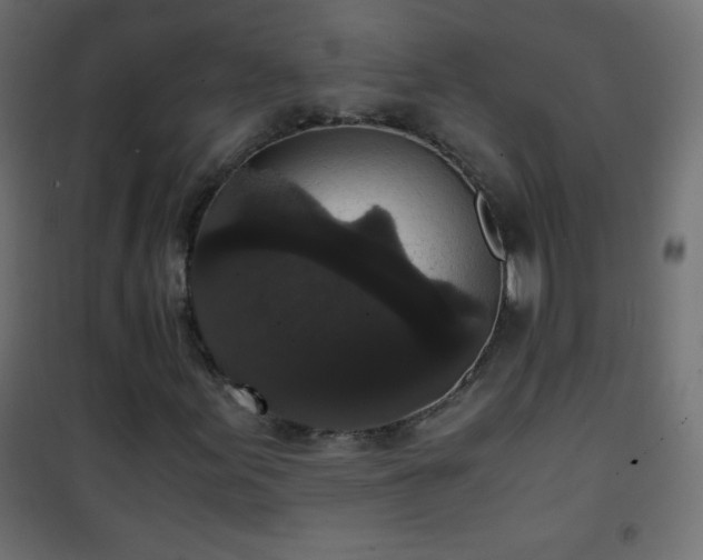 X0000101431155200807141235