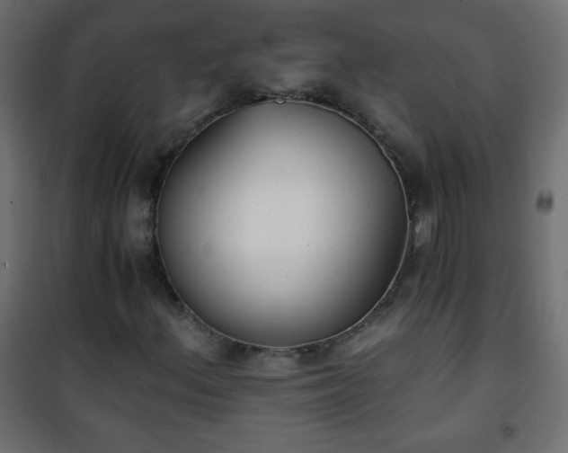 X0000101431156200807141235