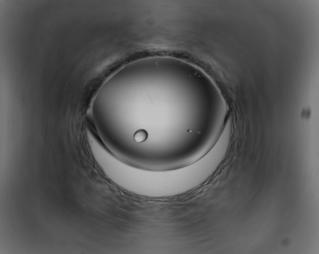 X0000101431157200807141235