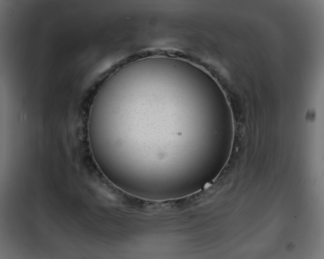 X0000101431159200807141235