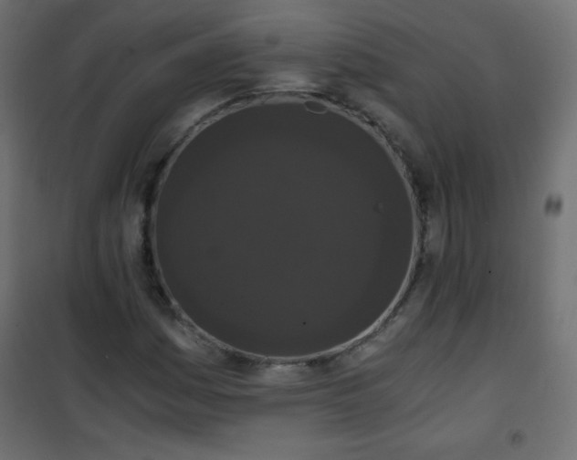 X0000101431161200807141235